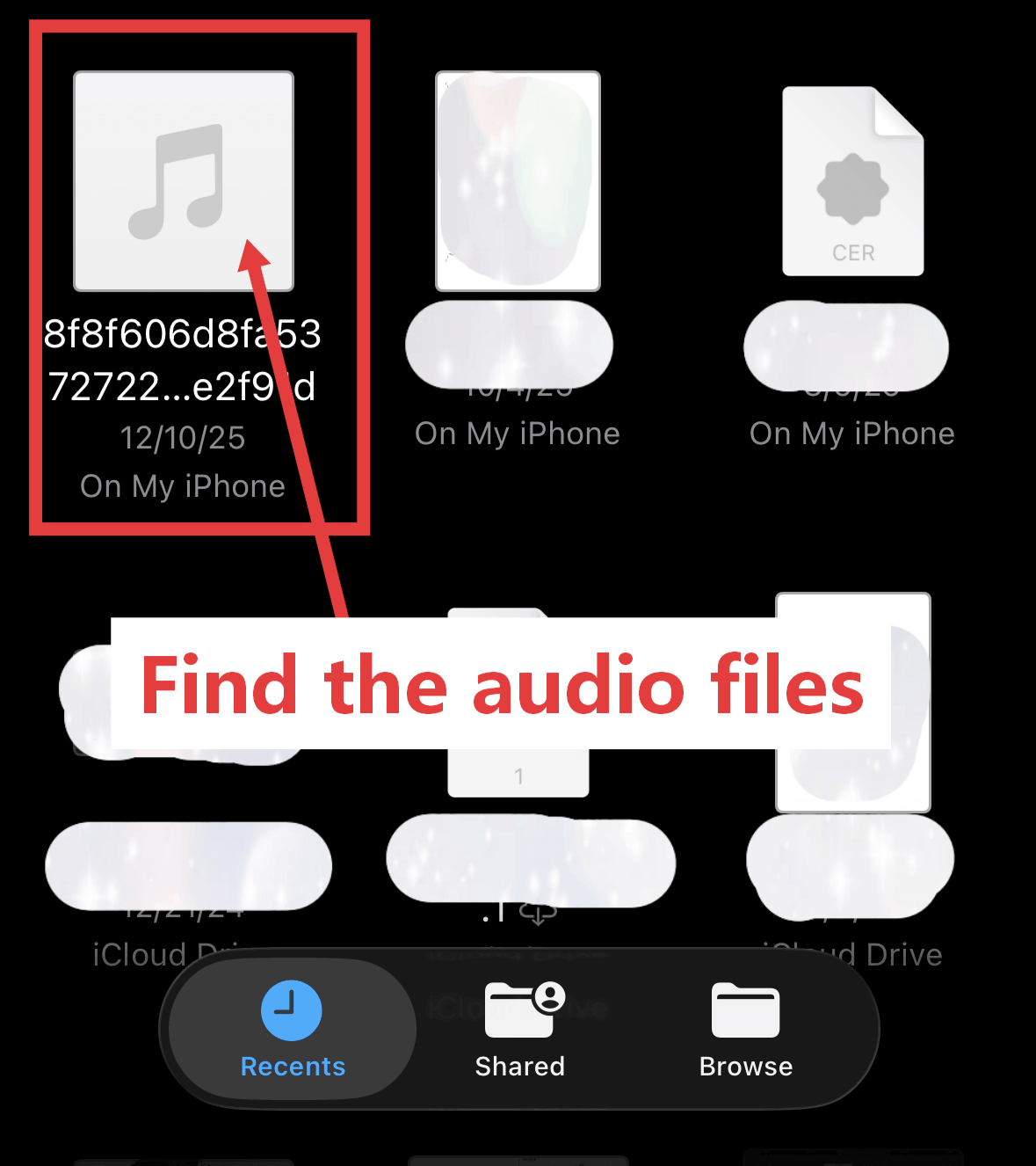 iPhone 在文件 App 中查找下载音频示意图 iPhone 在文件 App 中查找下载音频示意图